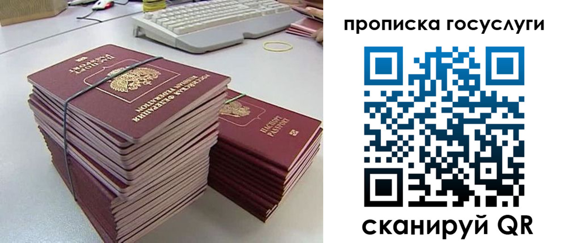 временная регистрация для школы в Камышлове